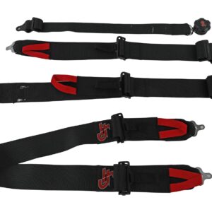 G-FORCE Camlock 4-Point Harness eleanore